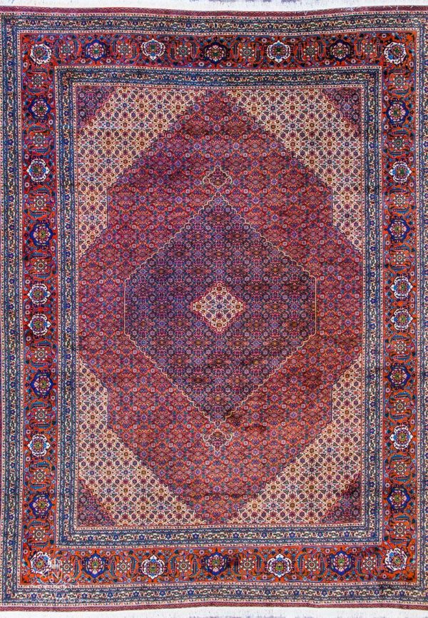 Sarab A5556
